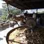 Photo of Mezcal Educational Tours