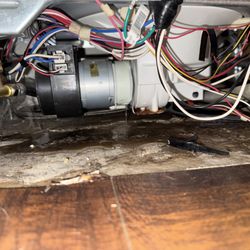 Bella T's Plumbing - Who knew that a motor seal could fail beneath your dishwasher and destroy your kitchen floor before you spot the leak?