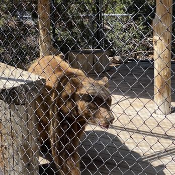 Animal Ark - Zoos Near Me - Reno, Nevada