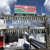 Fish Witch Charters gift card