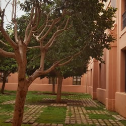 Palacio de San Telmo
