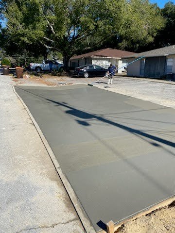 Slide of House Finch