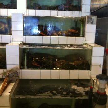 Lobster King - Seafood Near Me - Honolulu, Hawaii