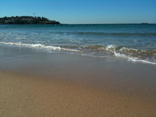 Bondi Beach by null
