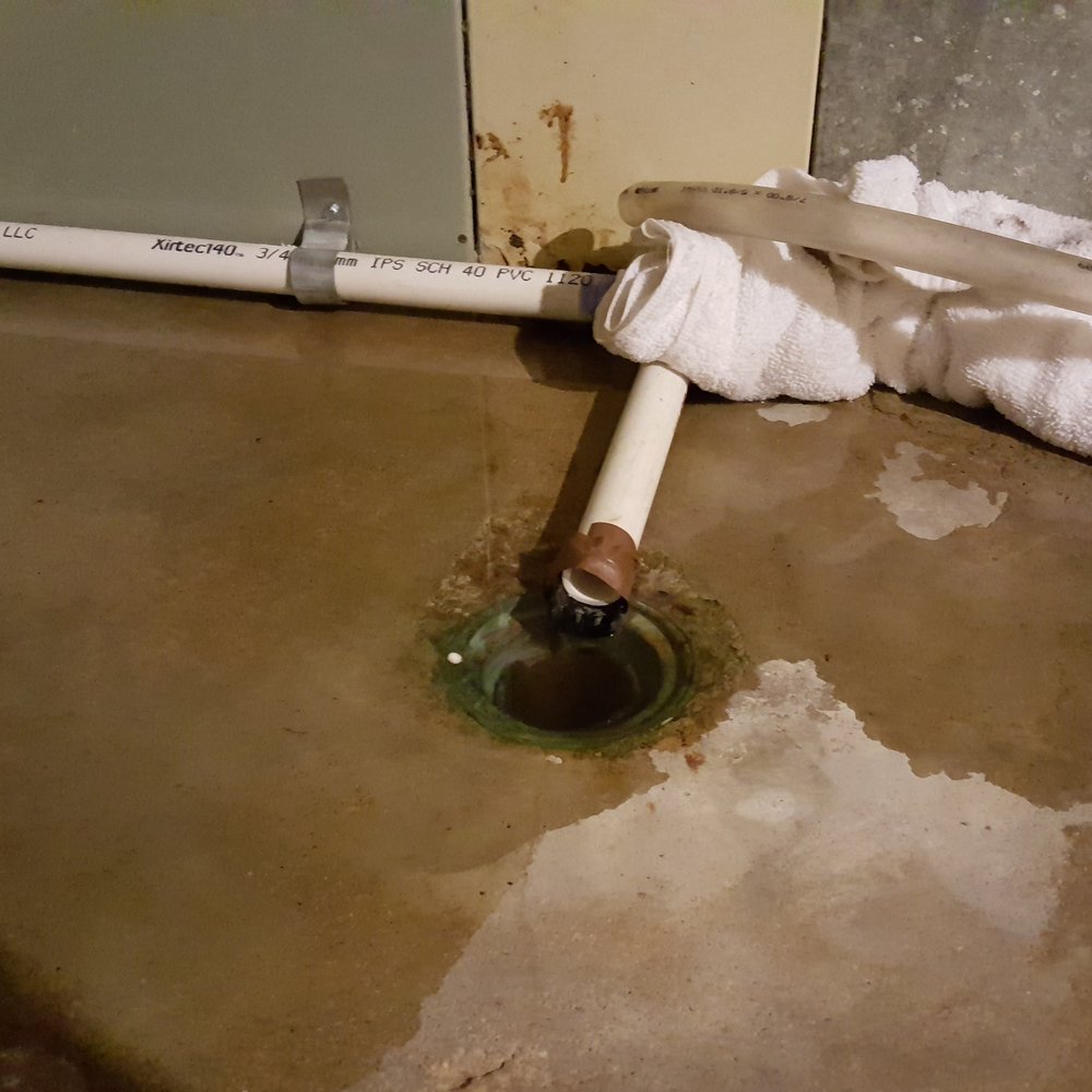 Jimmy Rooter - Blockage of sewer removed and basement drain started to take down backed up water. - Plumbing Near Me Jimmy Rooter - Blockage of sewer removed and basement drain started to take down backed up water. - Plumbing Near Me