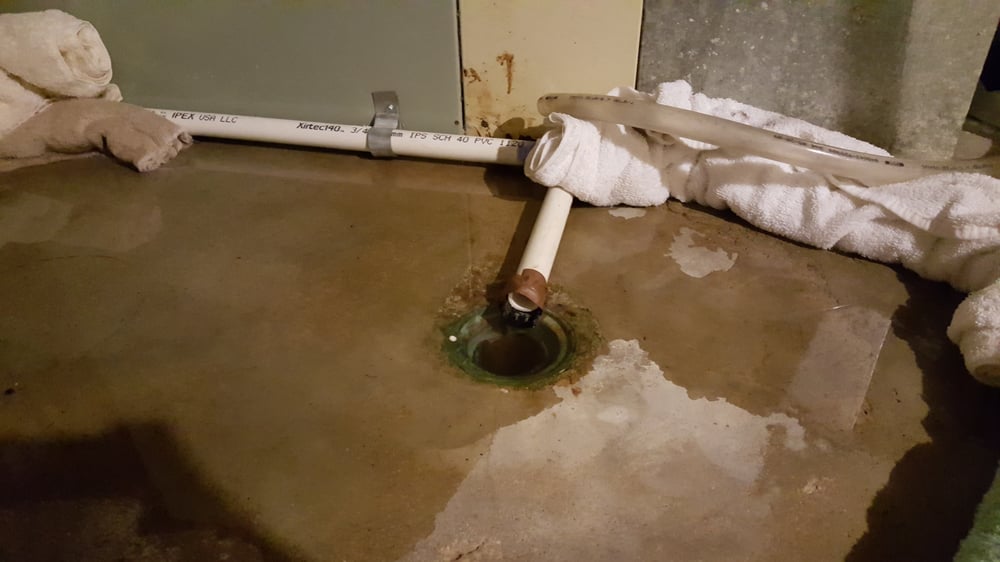 Slide of Jimmy Rooter