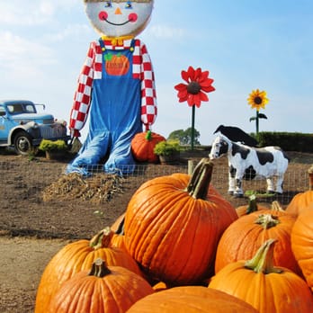 Linvilla Orchards - Pumpkinland - Farmers Market Near Me - Media, Pennsylvania Linvilla Orchards - Pumpkinland - Farmers Market Near Me - Media, Pennsylvania
