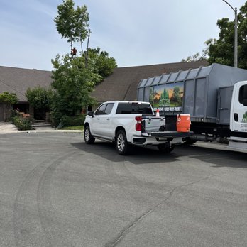 Gio’s tree service - Tree Services Near Me Gio’s tree service - Tree Services Near Me