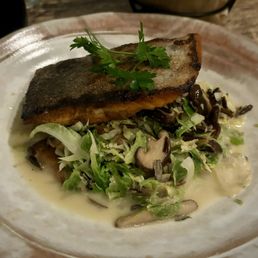 Arctic char Arctic char