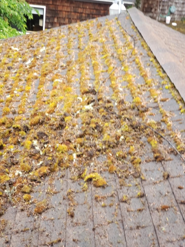 Slide of Diamond Touch Roof Cleaning and Repair