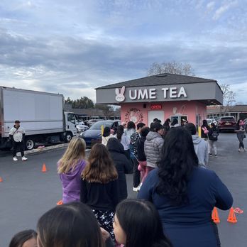 Ume Tea - Long line on opening day - Bubble Tea Near Me - Pleasanton, California