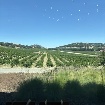 Halter Ranch - Wineries Near Me - Paso Robles, California Halter Ranch - Wineries Near Me - Paso Robles, California