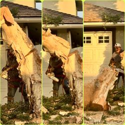 Gio’s tree service - Timber!