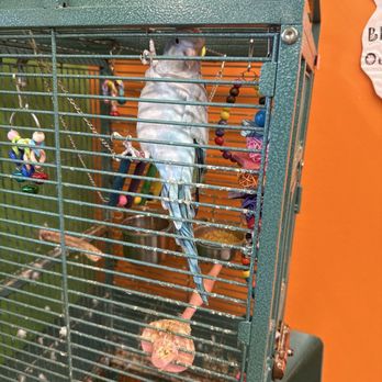 Kiddie Jungle - Indoor Playcenter Near Me - Parma, Ohio