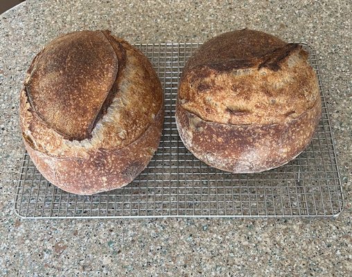 Rebel Bread by null