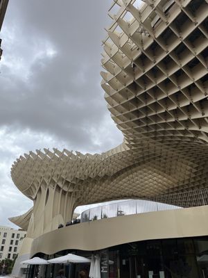 Setas de Sevilla by null