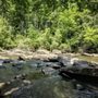 DuPont State Forest