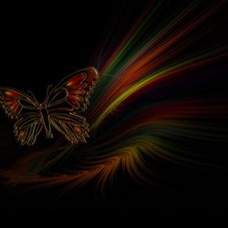 Metamorphosis CBD Vape & Smoke Shop - Metamorphosis CBD, Vape & Smoke Shop