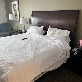 Hilton Garden Inn Hampton Coliseum Central - Bed - Hotels Near Me - Hampton, Virginia Hilton Garden Inn Hampton Coliseum Central - Bed - Hotels Near Me - Hampton, Virginia