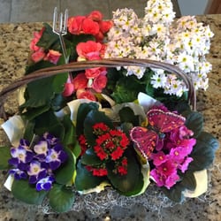 The Cutting Garden - A wonderful arrangement of potted plants!