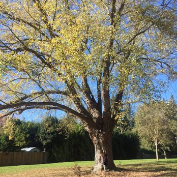 Seymour Park - Can you see what I see? - Parks Near Me - Sacramento, California Seymour Park - Can you see what I see? - Parks Near Me - Sacramento, California