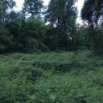 Dyke Marsh - Hiking Near Me - Alexandria, Virginia