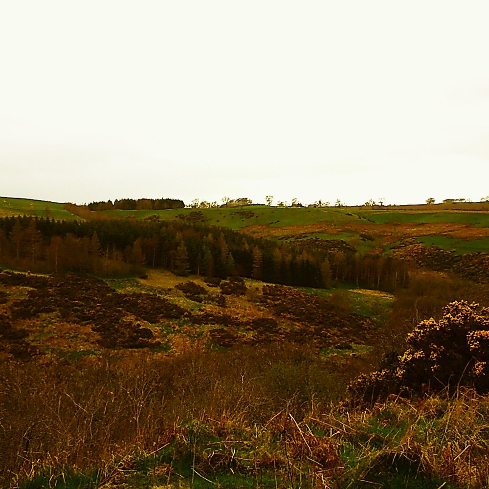 Crichton Castle - Landmarks & Historical Buildings Near Me - Pathhead, MLN