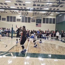 Central Arizona College