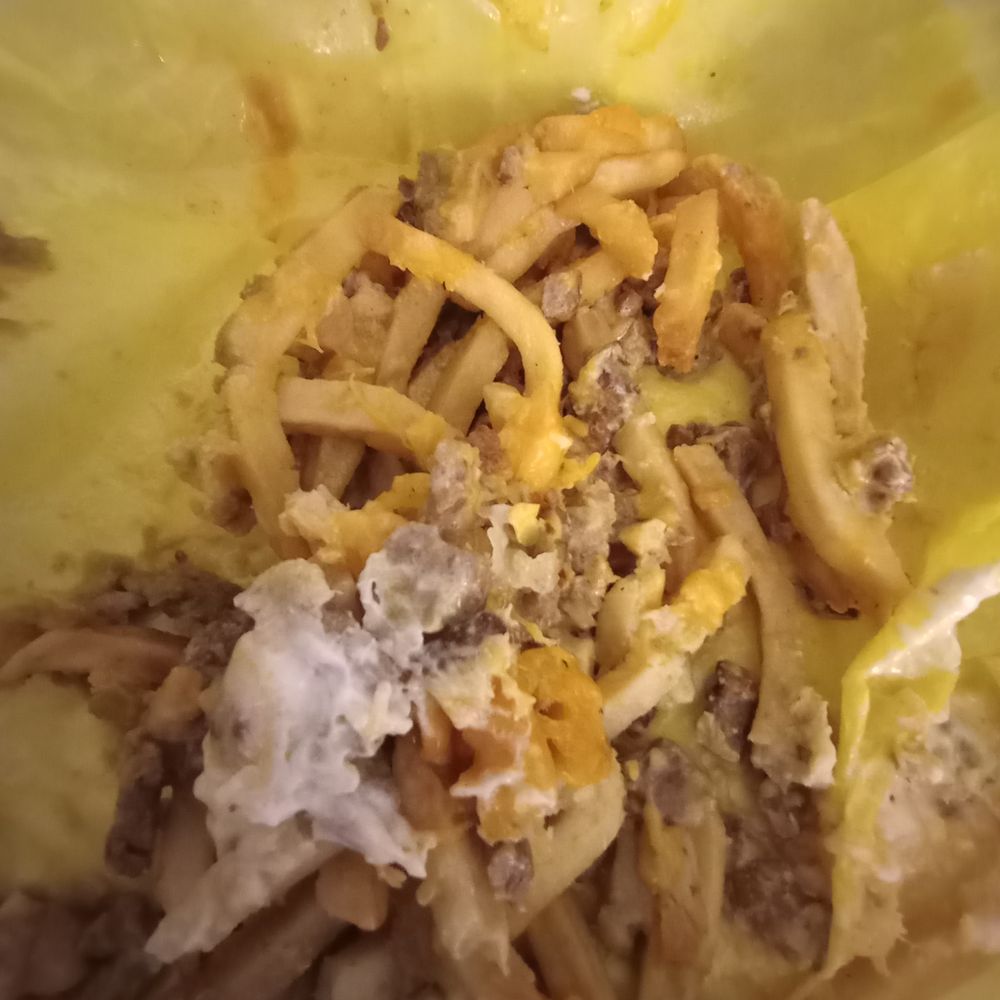 look at all that melted cheese and beef. even the green sauce didn't help it look at all that melted cheese and beef. even the green sauce didn't help it