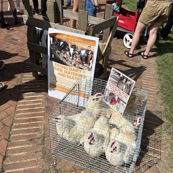 Richmond VegFest - Festivals Near Me - Richmond, Virginia Richmond VegFest - Festivals Near Me - Richmond, Virginia