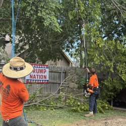 Texas Tree Service