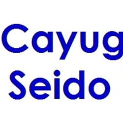 Cayuga Lake Seido Karate