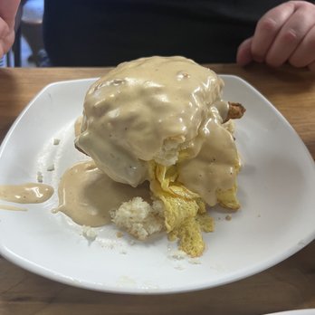 Biscuit Head - The filthy animal biscuit - Cafes Near Me - Asheville, North Carolina