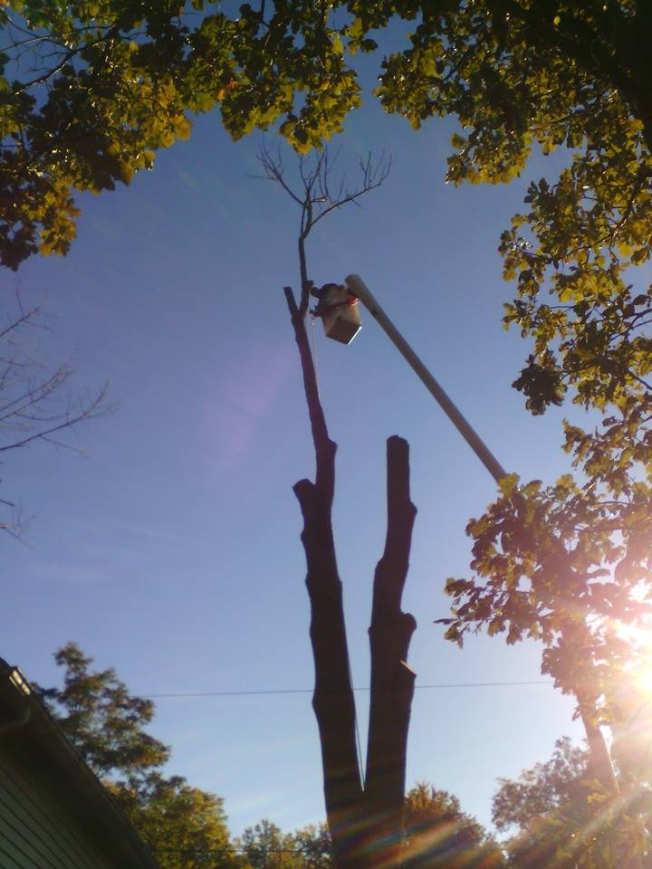 SMITH TREE SERVICE Updated September 2024 9581 West Ridge Rd