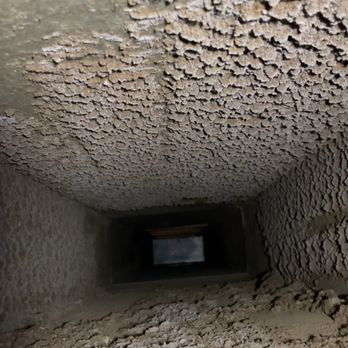 Stanley Steemer - Return trunkline. This is after they "completed" their job. - Carpet Cleaning Near Me - Maryland Heights, Missouri Stanley Steemer - Return trunkline. This is after they "completed" their job. - Carpet Cleaning Near Me - Maryland Heights, Missouri