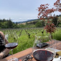 two glasses of wine and a plate of cheese