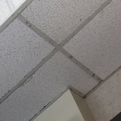 McLaren Bay Region - Ceiling