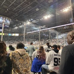 Las Vegas Desert Dogs - The doghouse is a great place to party and hang the glass!