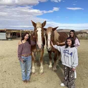 Cascade Trails Mustang Sanctuary - Horseback Riding Near Me