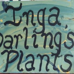 Inga Darling's Plants and More - I made this business sign & can incorporate calligraphy on your custom plant