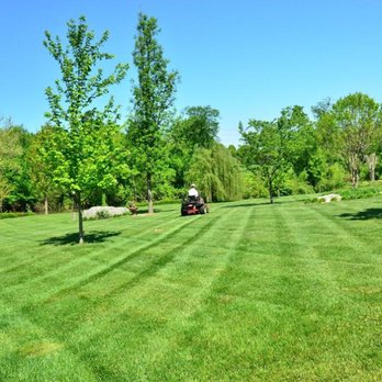 Cutting Edge Lawn Care - Lawn Care Services in Metairie, LA - Lawn Services Near Me - Metairie, Louisiana Cutting Edge Lawn Care - Lawn Care Services in Metairie, LA - Lawn Services Near Me - Metairie, Louisiana