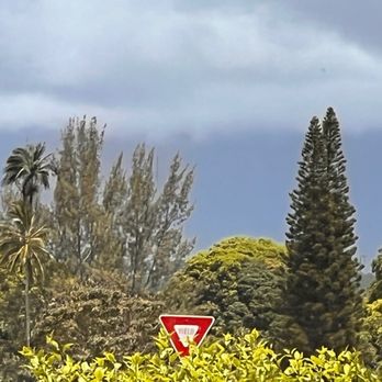 Verde - View from our table! - Mexican Near Me - Lihue, Hawaii