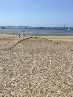 Long Point Beach by null