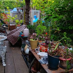 Redwoods Haus Bed and Breakfast
