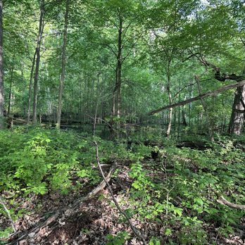 Filmore County Park - Parks Near Me - Brighton, Michigan