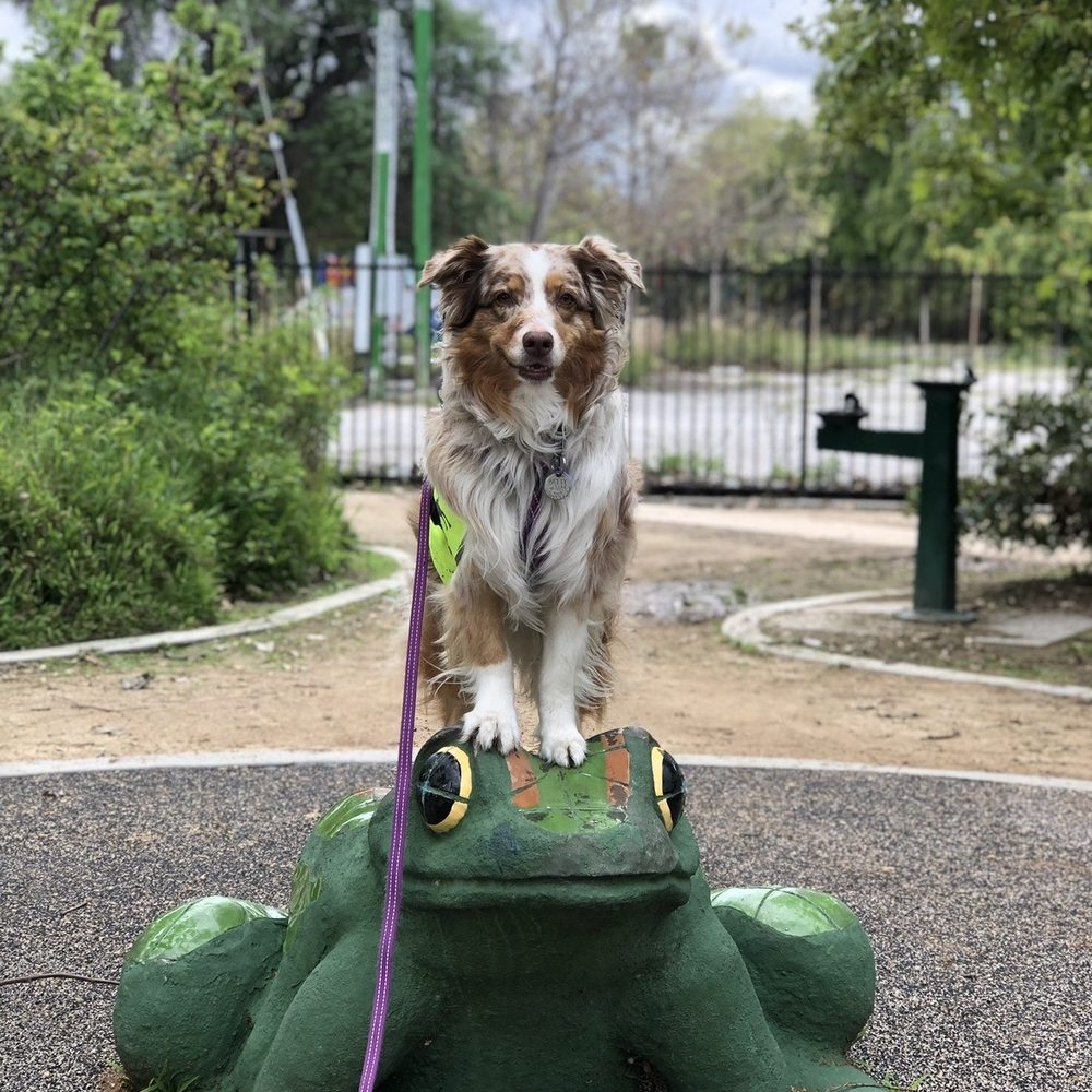 Lewis MacAdams Riverfront Park - 3.20.20 - Parks Near Me - Los Angeles, California