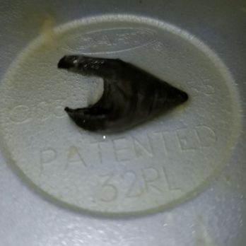 Chaba Thai Restaurant - Hard sharp plastic object found in the hot and sour soup and broke my husband's tooth and cut his mouth!! - Thai Near Me - San Antonio, Texas Chaba Thai Restaurant - Hard sharp plastic object found in the hot and sour soup and broke my husband's tooth and cut his mouth!! - Thai Near Me - San Antonio, Texas