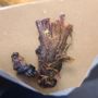 The Barrel Smoked Meats