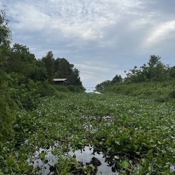 Ultimate Swamp Adventures - Tours Near Me - Westwego, Louisiana