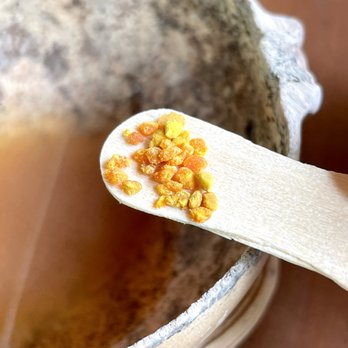 Xkopek - Bee Pollen - Tours Near Me - Valladolid, YUC Xkopek - Bee Pollen - Tours Near Me - Valladolid, YUC